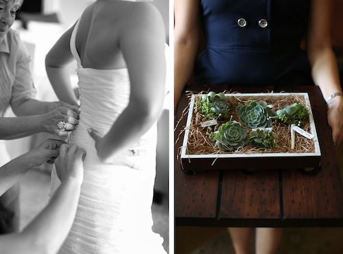 “Love Succulently” Real Wedding