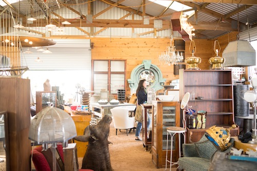 found-vintage-rentals-studio-emp-jeni-maus-round-top-texas-flea-market