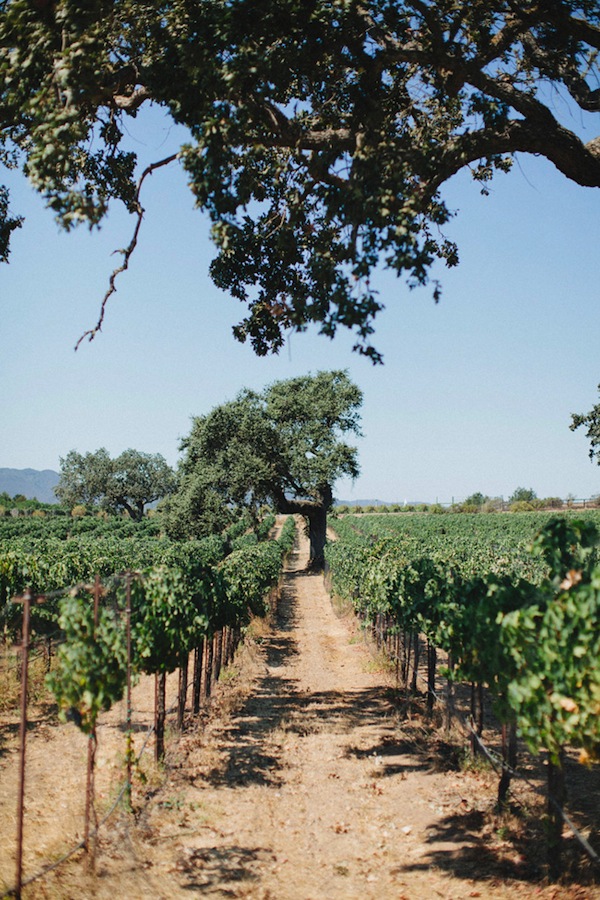 Heather + Cheyne.. Tuscan Inspired Wedding